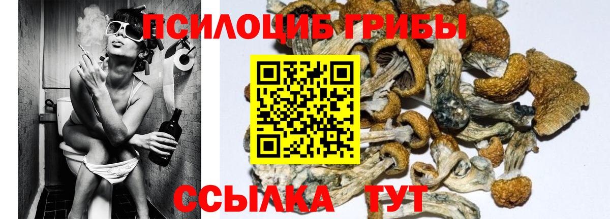 Псилоцибиновые грибы ЛСД Кыштым